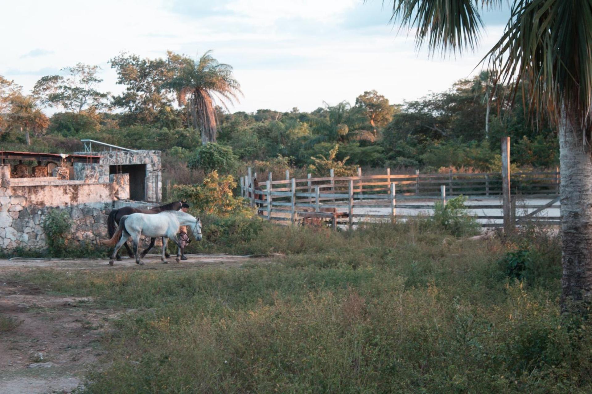 Casitas At Rancho Kuxtal Villa Tizimín Kültér fotó